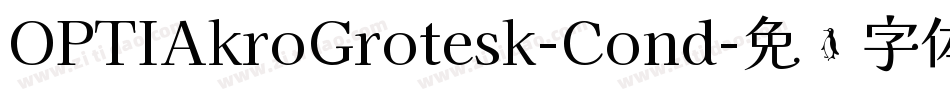 OPTIAkroGrotesk-Cond字体转换