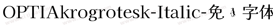 OPTIAkrogrotesk-Italic字体转换