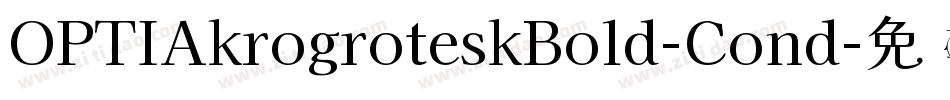 OPTIAkrogroteskBold-Cond字体转换