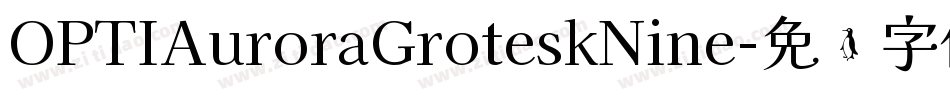 OPTIAuroraGroteskNine字体转换