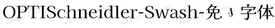 OPTISchneidler-Swash字体转换