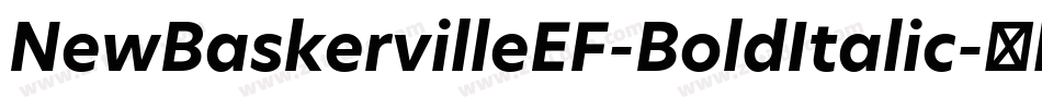 NewBaskervilleEF-BoldItalic字体转换