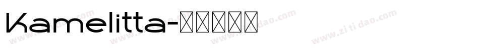 Kamelitta字体转换