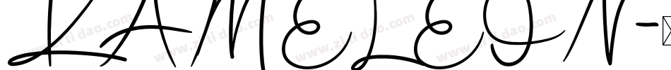 KAMELEON字体转换