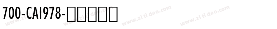700-CAI978字体转换