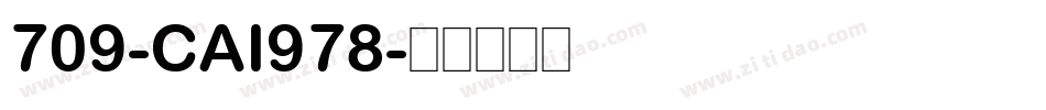 709-CAI978字体转换