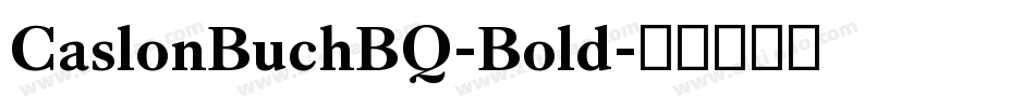 CaslonBuchBQ-Bold字体转换