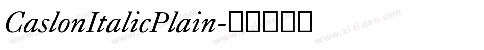 CaslonItalicPlain字体转换