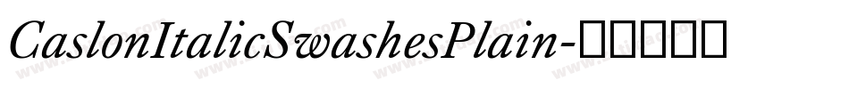 CaslonItalicSwashesPlain字体转换