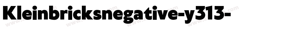 Kleinbricksnegative-y313字体转换