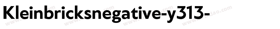 Kleinbricksnegative-y313字体转换