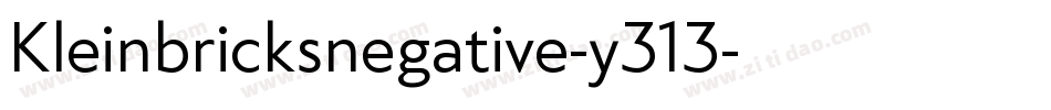 Kleinbricksnegative-y313字体转换