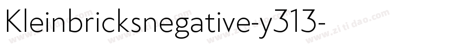 Kleinbricksnegative-y313字体转换