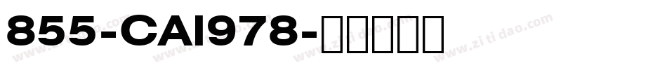 855-CAI978字体转换