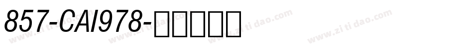 857-CAI978字体转换