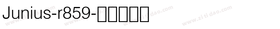 Junius-r859字体转换