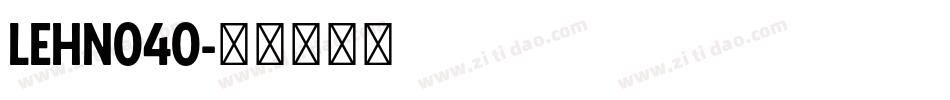 LEHN040字体转换