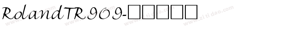 RolandTR909字体转换