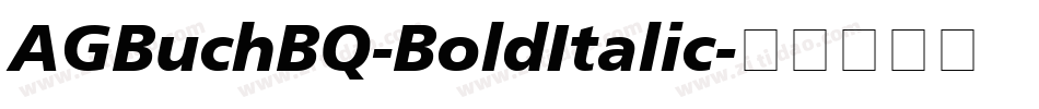 AGBuchBQ-BoldItalic字体转换