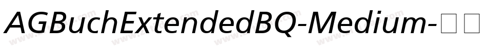 AGBuchExtendedBQ-Medium字体转换