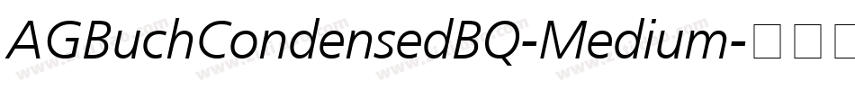 AGBuchCondensedBQ-Medium字体转换