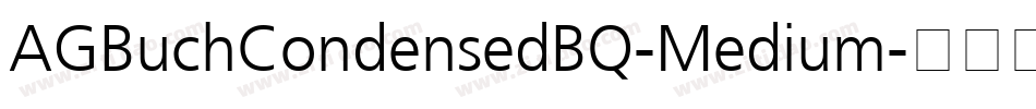 AGBuchCondensedBQ-Medium字体转换