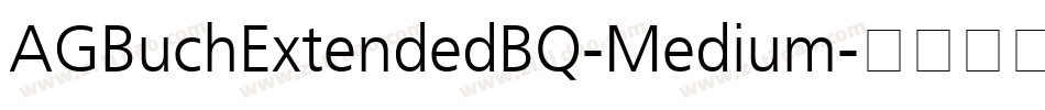 AGBuchExtendedBQ-Medium字体转换