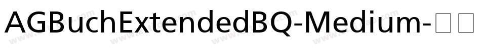 AGBuchExtendedBQ-Medium字体转换