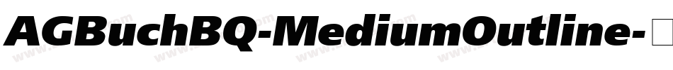 AGBuchBQ-MediumOutline字体转换