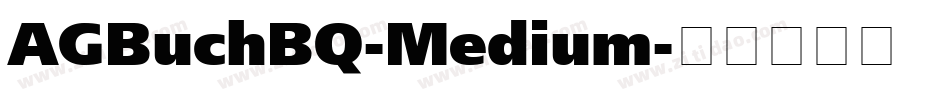 AGBuchBQ-Medium字体转换