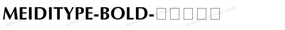MEIDITYPE-BOLD字体转换