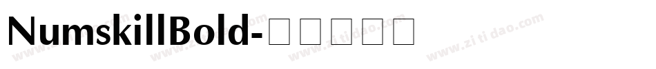 NumskillBold字体转换