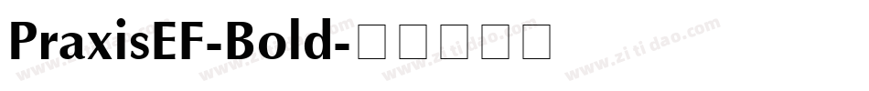 PraxisEF-Bold字体转换
