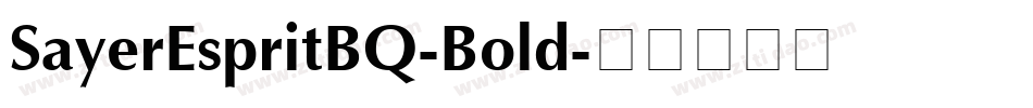 SayerEspritBQ-Bold字体转换 SayerEspritBQ-Bold字体转换