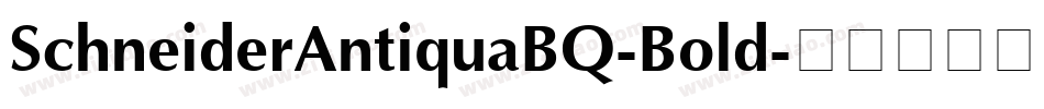 SchneiderAntiquaBQ-Bold字体转换