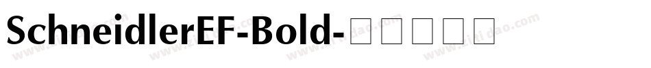 SchneidlerEF-Bold字体转换
