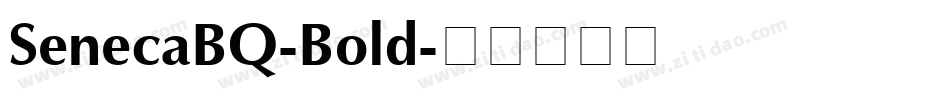 SenecaBQ-Bold字体转换