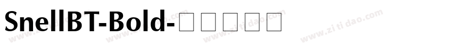SnellBT-Bold字体转换