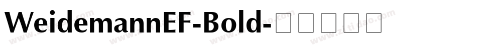 WeidemannEF-Bold字体转换