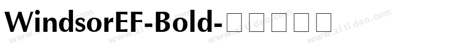 WindsorEF-Bold字体转换