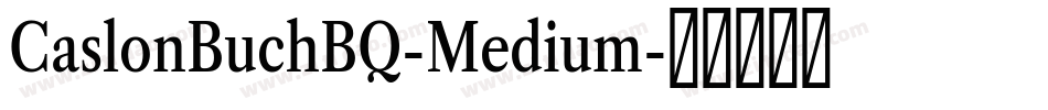 CaslonBuchBQ-Medium字体转换
