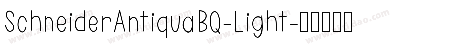 SchneiderAntiquaBQ-Light字体转换