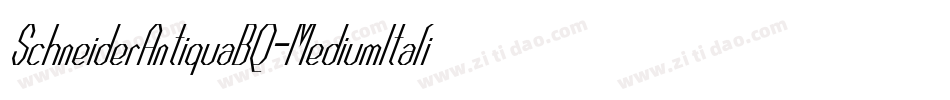 SchneiderAntiquaBQ-MediumItalic字体转换