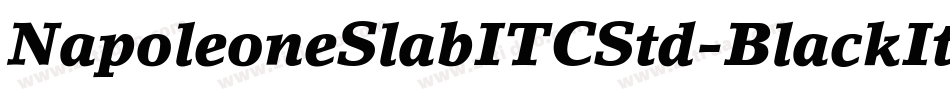 NapoleoneSlabITCStd-BlackIt字体转换