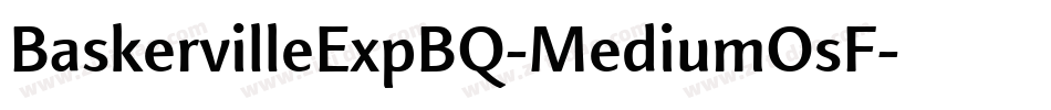 BaskervilleExpBQ-MediumOsF字体转换