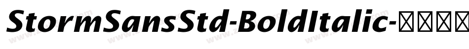 StormSansStd-BoldItalic字体转换