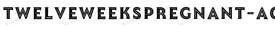 TwelveWeeksPregnant-A0gp字体转换