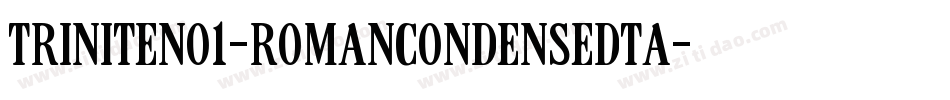 TriniteNo1-RomanCondensedTa字体转换
