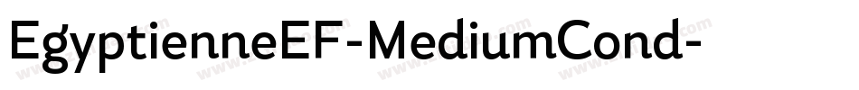 EgyptienneEF-MediumCond字体转换