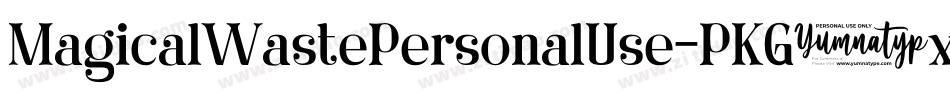 MagicalWastePersonalUse-PKG6x字体转换